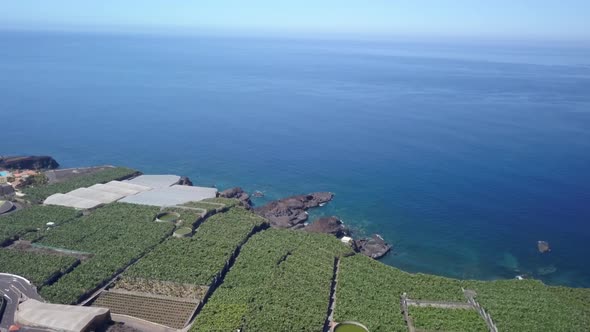 Banana Cultivation on La Palma Island, Canary Islands, Spain