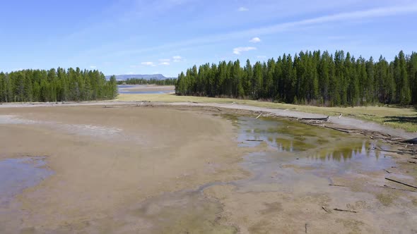 Drought year flying low over shoreline towards pine trees alt