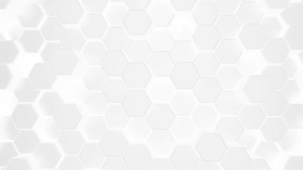 3d White Hexagon Background
