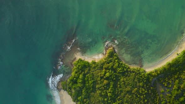 Aerial of green trees and beautiful turquoise water on coastline alt