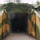 Dog creepily appearing in entrance to an old war bunker. - VideoHive Item for Sale