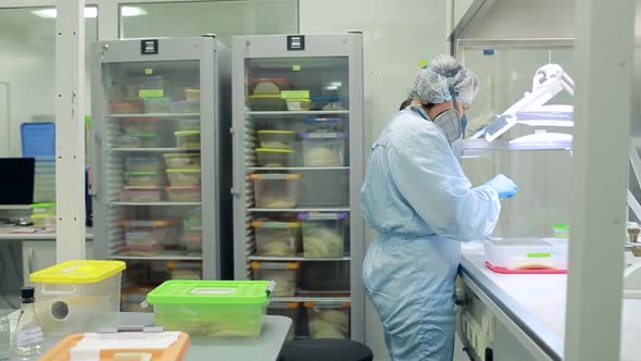 A Female Scientist Works in a Laboratory with Samples