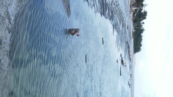 Zanzibar Tanzania  Vertical Video of a Coastal Landscape Slow Motion alt