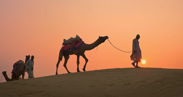 Indian Cameleers (Camel Driver) Bedouin with Camel Silhouettes in Sand Dunes of Thar Desert alt