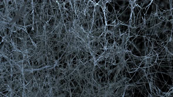 Fly through endless spider webs. Scary space, horror, halloween background. The video is in a loop.