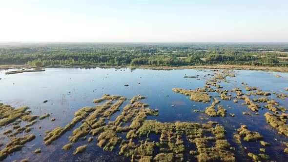 Swamp Near The Village Of Sverdlovo 03 alt