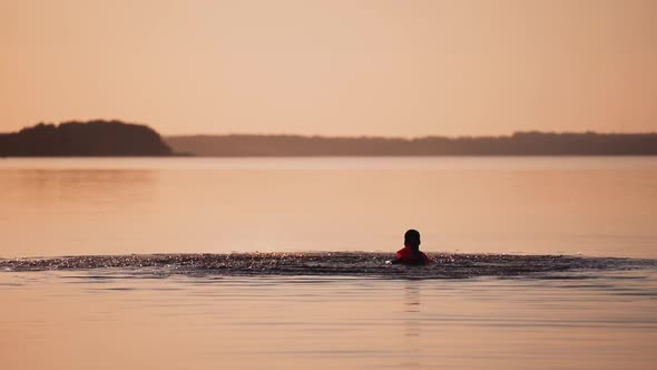 Boy swimming in the river at sunset. Silhouette of a child is splashing happily in the evening water alt