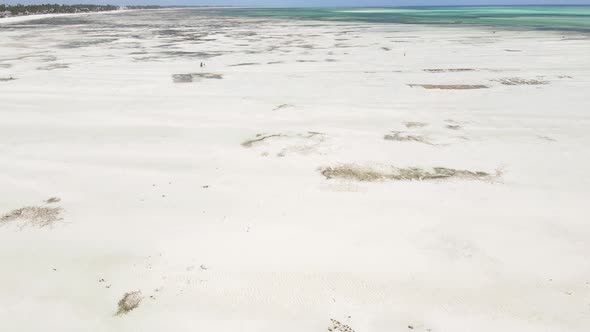 Ocean at Low Tide Near the Coast of Zanzibar Island Tanzania Slow Motion alt