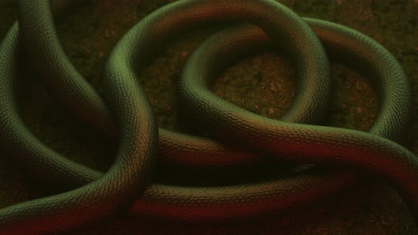 Dragon Snake Body Moving alt