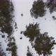 Drone follows a group of hikers in winter light forest. Top view, overhead angle - VideoHive Item for Sale