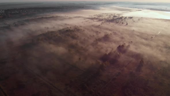 Epic aerial view of sunrise fog covering field with trees