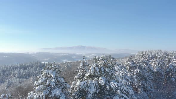 Winter scenery with Tupiznica mountain under mist 4K drone video