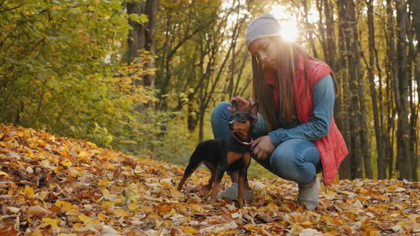 A Girl Petting Her Dog in the Autumn Park alt