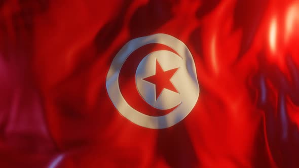 Tunisia Flag with Edge Bump