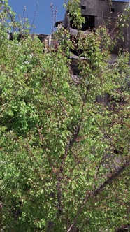 Vertical Video of a Wartorn House in Ukraine alt