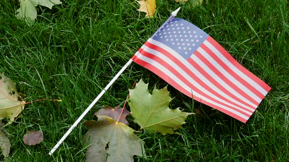 American USA National Flag on Green Grass