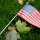 American USA National Flag on Green Grass - VideoHive Item for Sale