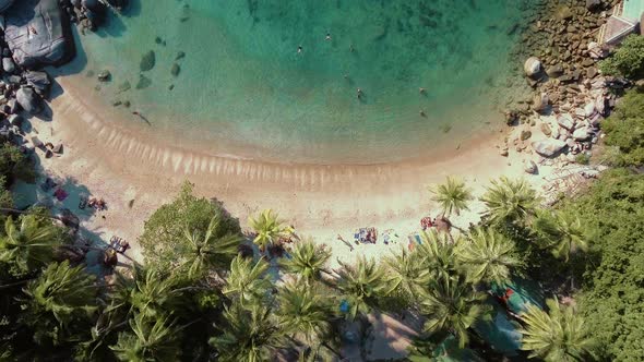 Flying Above Palm Tree Beach