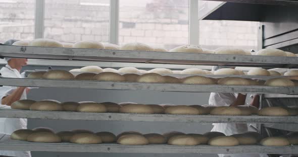 Details From a Bakery Factory Big Shelves of Raw alt