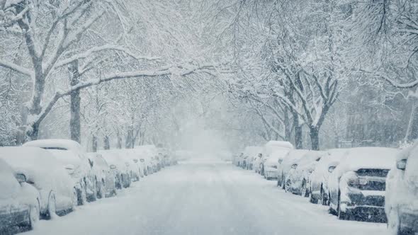 City Avenue With Cars Buried In Snowstorm alt