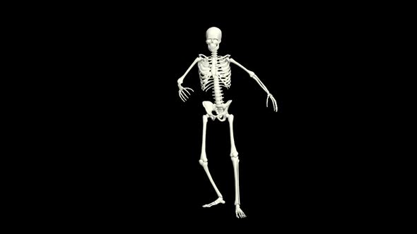 Skeleton Hip Hop Dancing