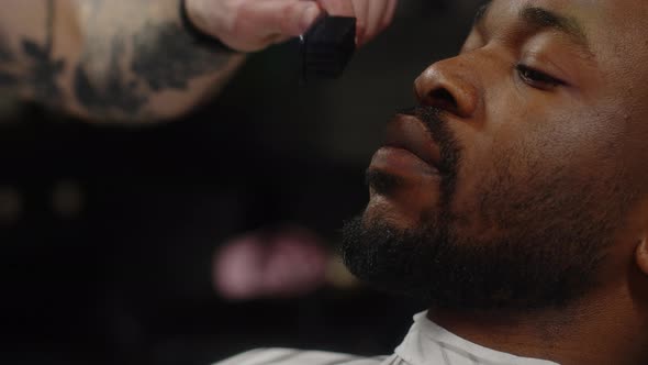 Barber Combing with a Brush and Grooming an African American Beard Hairstyle alt