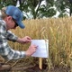 Agronomy Specialist Marking Crop Sign at Experimental Grounds Outdoors - VideoHive Item for Sale