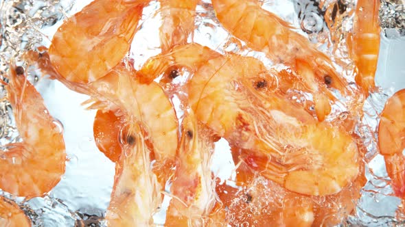 Super Slow Motion Shot of Fresh Shrimps Falling and Splashing Into ...