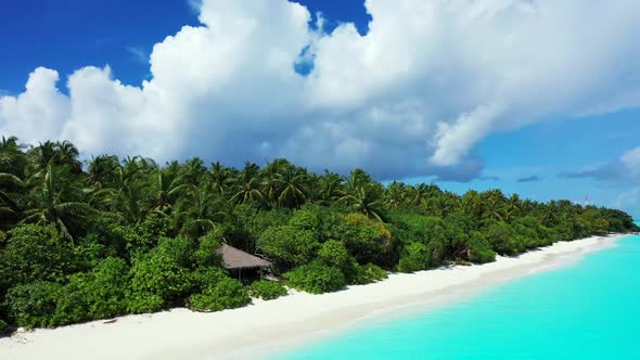 Aerial abstract of perfect seashore beach wildlife by blue lagoon and white sandy background of a da alt