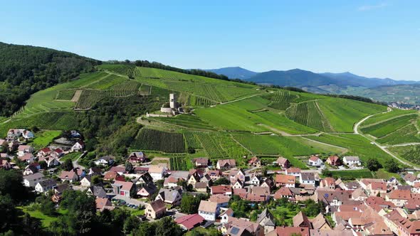 Old village at bottom of hill, vine fields on slope, castle ruins at height