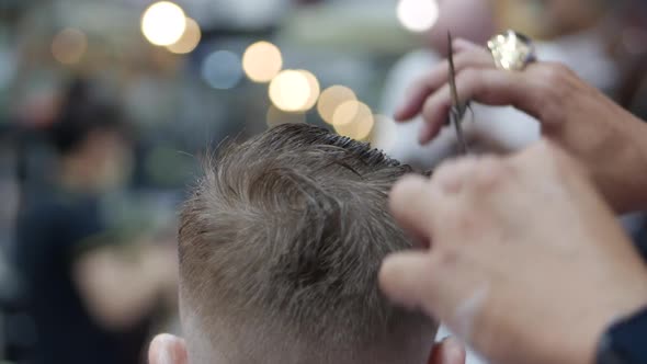 Children's Haircut in the Salon, A Little Boy Gets a Haircut in the Hairdresser. Children's Styling alt
