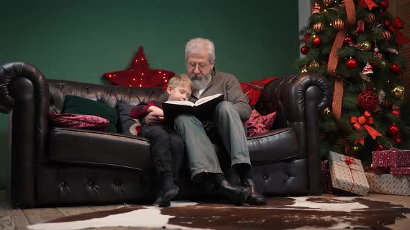 Grandfather Reads a Fairy Tale To His Sleeping Grandson alt
