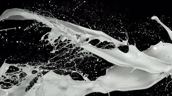 Super Slow Motion Shot of Milk Splash at 1000 Fps Isolated on Black Background alt