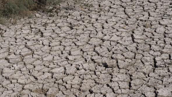 Drought in the Marshes of Camargue, in the South East of France, slow motion alt