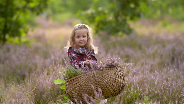 Cute little girl in a dress with a basket of wild flowers walks Outdoors in a green park.