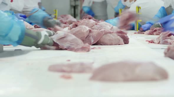 Group Of Butchers Working In A Meat Processing Factory alt