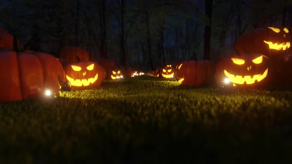 Jack O Lantern And Pumpkins