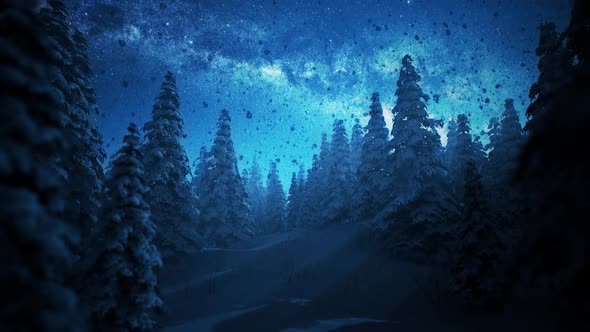 Snow fall in forest at night