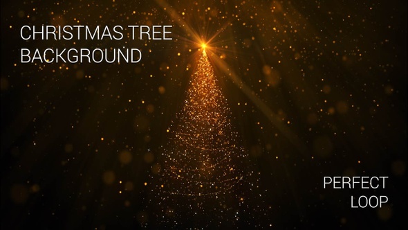 Christmas Trees Background