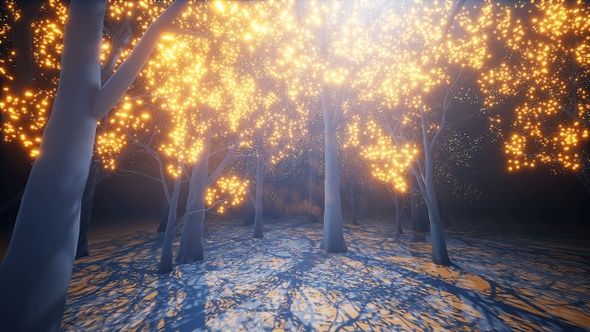 Glow Light Forest