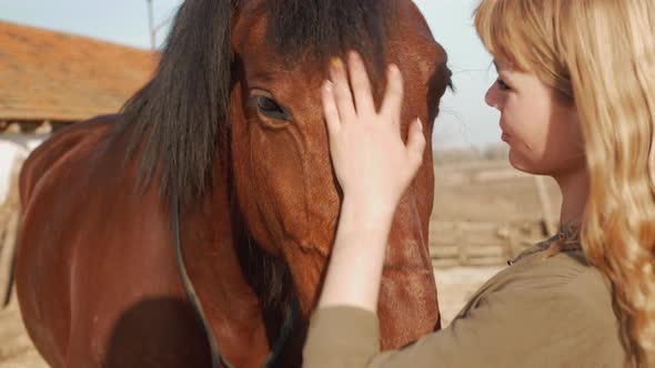 Beautiful Blonde Woman Hugs Horse Loves and Cares Pets Real Friendship and Mutual Understanding