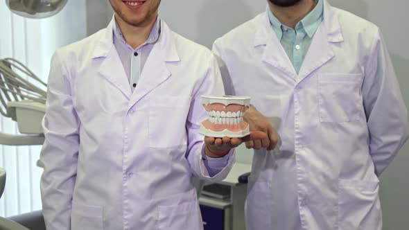 Two Dentists Demonstrate Layout of Human Teeth