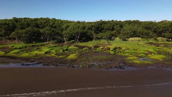 Slow rotating aerial of swamp and sand banks by Rio de la Plata alt