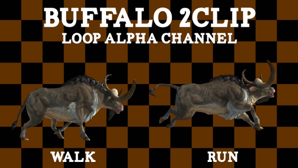 Buffalo 2 Clip Loop