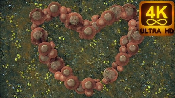 Autumn Fairy Love Forest Flower Mushroom 3D Heart Background 4k Motion Loop Psychedelic Trance Art alt