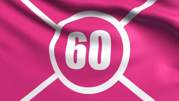 Auto Racing Code 60 Flag alt