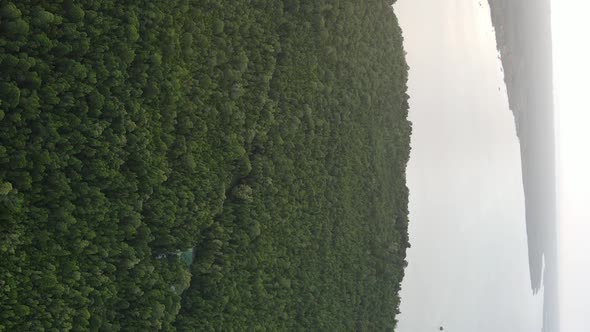 Zanzibar Tanzania  Coast of Island Covered with Thickets Slow Motion alt