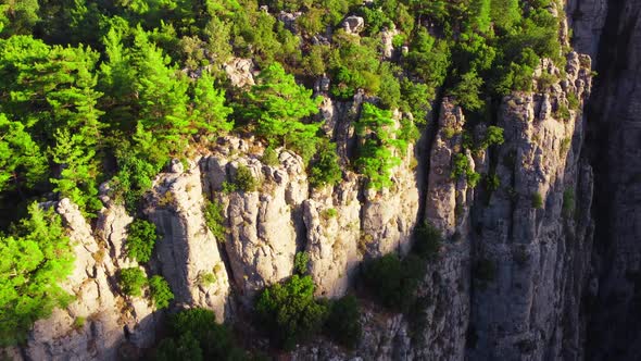 Dense Magical Forest at the Canyon Top Huge Spectacular Cliff Rocks Epic Aerial Drone Flight Over alt