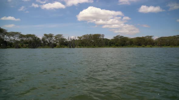 Lake Naivasha shore alt
