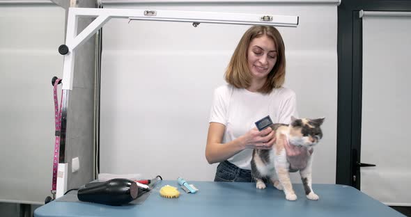 Groomer Brushing Cute Funny Cat in Salon alt